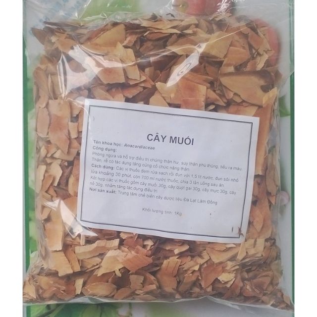 4 loại thảo mộc hỗ trợ suy thận( cây nổ. quýt gai. cây mực. cây muối)