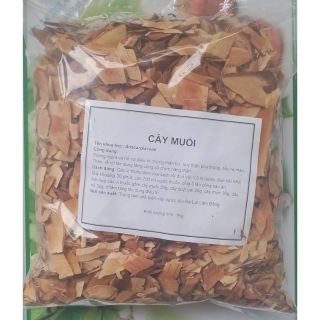 4 loại thảo mộc hỗ trợ suy thận( cây nổ. quýt gai. cây mực. cây muối)