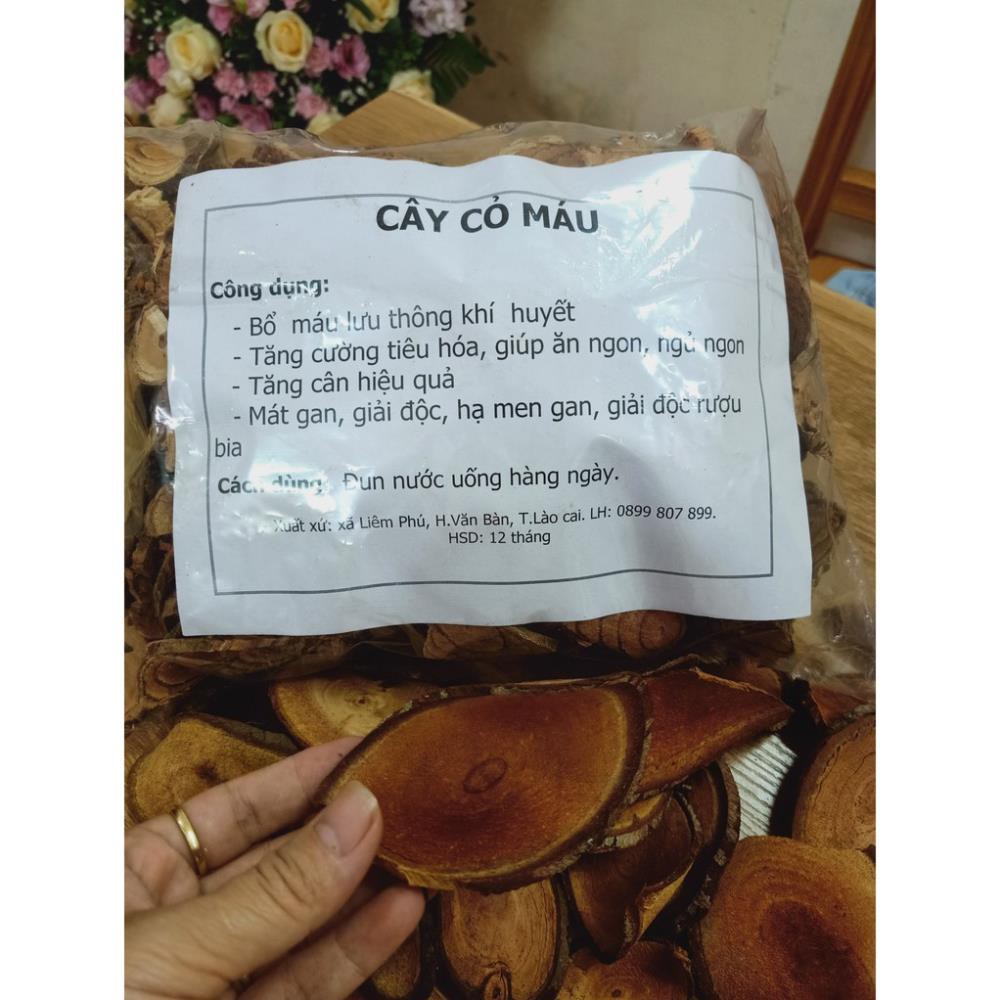 CỎ MÁU 🌻 FREESHIP 🌻 CÂY CỎ MÁU TĂNG CÂN BỔ HUYẾT