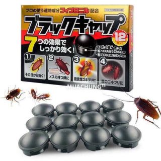 Viên diệt gián của Nhật hộp gồm 12 viên