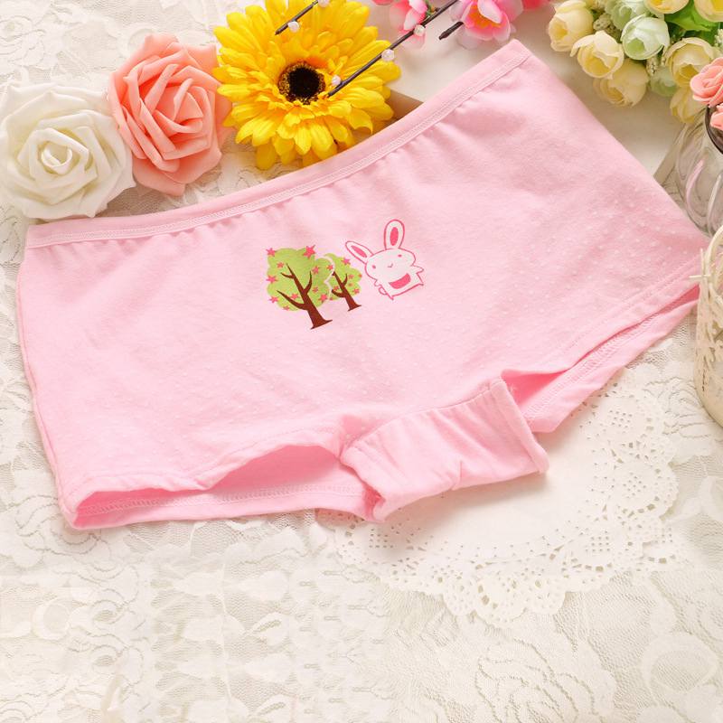 Bộ 4 Quần Lót Cotton Kiểu Hoạt Hình Xinh Xắn Cho Bé Gái