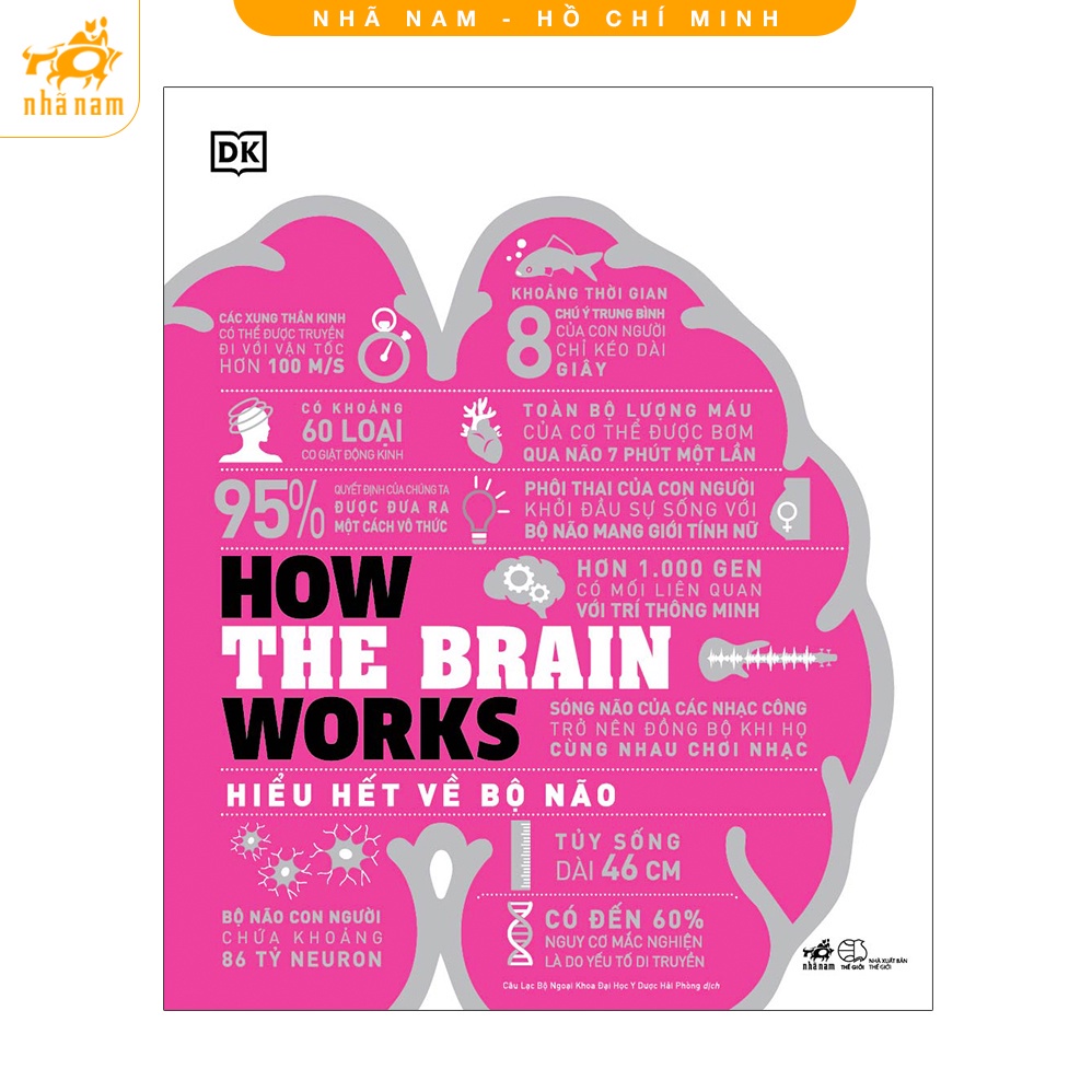 Sách How The Brain Works - Hiểu Hết Về Bộ Não