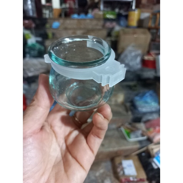 CÓNG GIÁC THUỶ TINH TAI NHỰA TRẮNG GIÁ TỐT Ricky bird shop