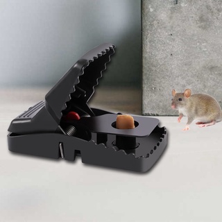 Bẫy bắt Chuột diệt chuột hiệu quả