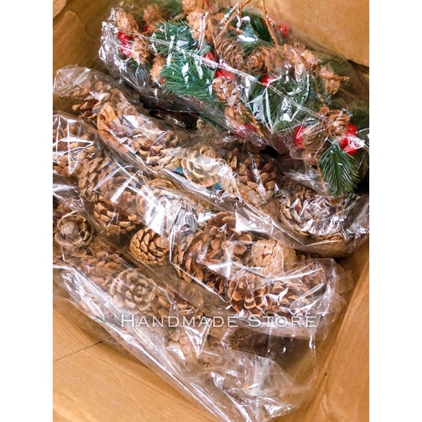 Quả thông Giáng sinh