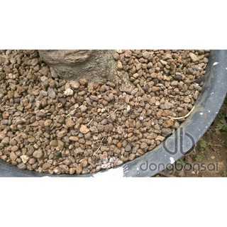 Đá núi lửa Pumice Indonesia bao 50lit