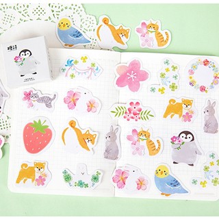 Hộp 45 miếng sticker mẫu chim cánh cụt và vườn thú