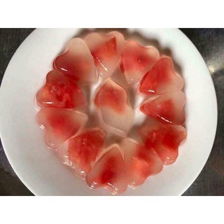 [Freeship] KHUÔN LÀM THẠCH RAU CÂU CÁC MẪU 