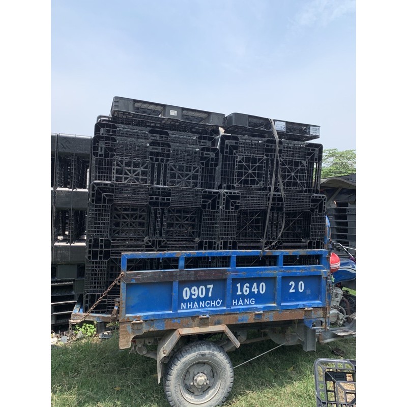 Pallet nhựa, pallet ván ép