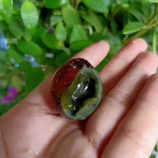 TRỨNG CÚT BẮC  thảo
