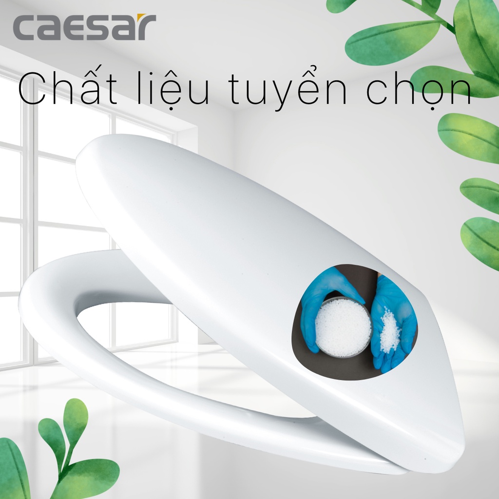 Nắp bàn cầu kháng khuẩn M232 rơi êm Caesar