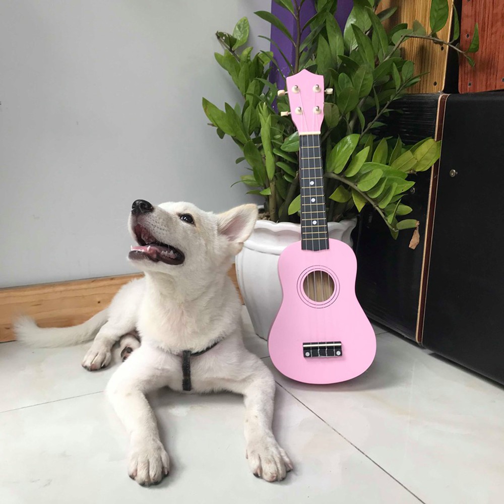 Đàn ukulele size 21 màu hồng cho người mới tập