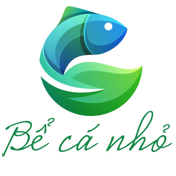 Bể Cá Nhỏ