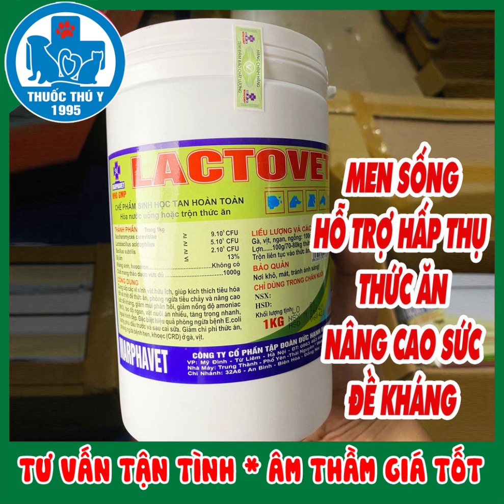 LACTOVET 1kg men tiêu hóa, phòng tiêu chảy, kích thích tiêu hóa trên gia cầm, thủy cầm, thú cảnh