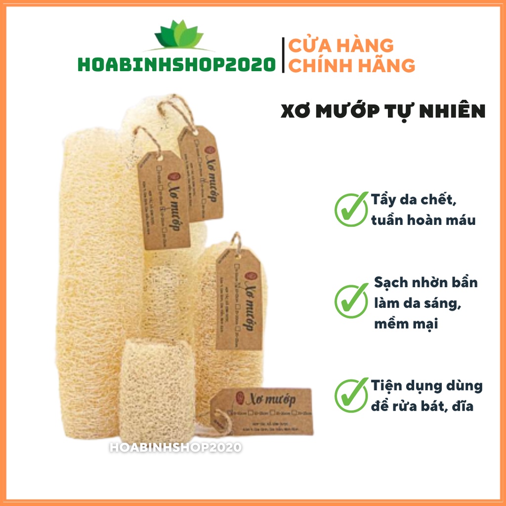 BÔNG TẮM XƠ MƯỚP HỮU CƠ HTX SINH DƯỢC