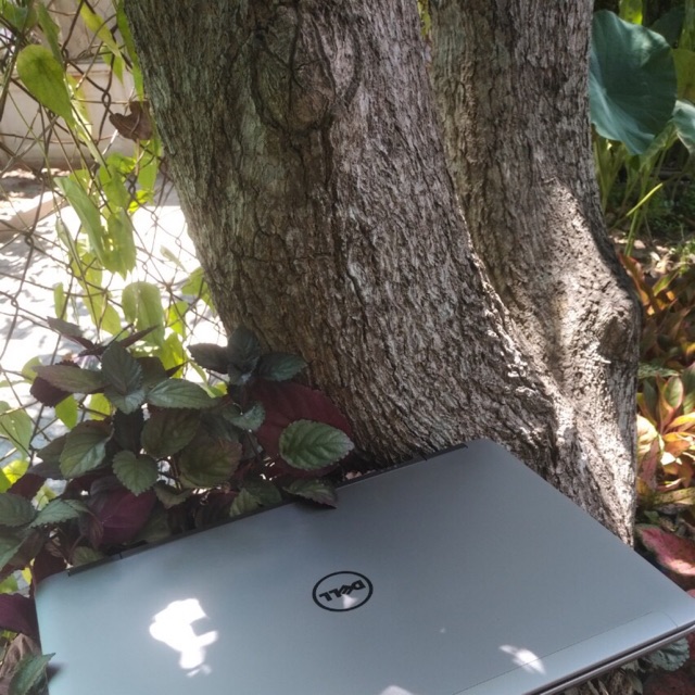 latop dell latitude E6540