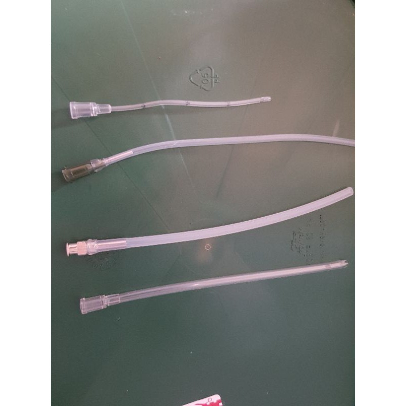 ống đút vẹt non