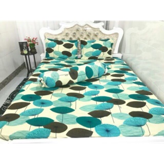 Drap thun han quoc