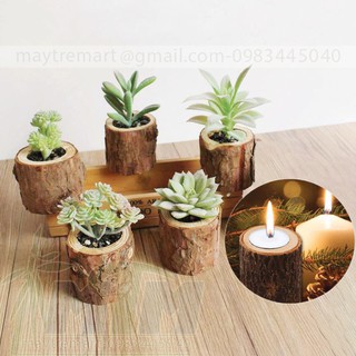 [FREESHIP] BỘ 2 CHẬU GỖ TRỒNG CÂY MINI (1 TREO, 1 ĐỂ BÀN)