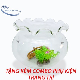 Bể Cá Mini Thủy Tinh Hồ Cá Miệng Bèo To ( Tặng kèm combo 2 phụ kiện trang trí )