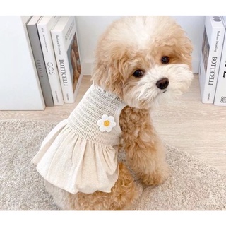 ĐẦM DÂY TAG HOA CÚC CHO THÚ CƯNG