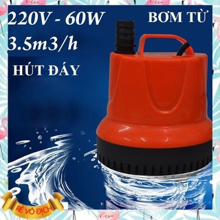 Bơm chìm hút đáy 220v-60w-3.5m3h