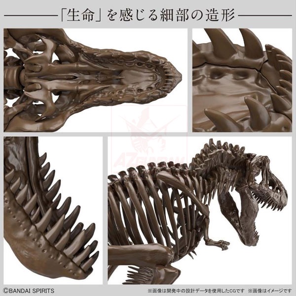 Mô hình lắp ráp khoa học Imaginary bộ xương khủng long Tyrannosaurus Tỉ lệ 1/35 Chính hãng Bandai - Nhật Bản