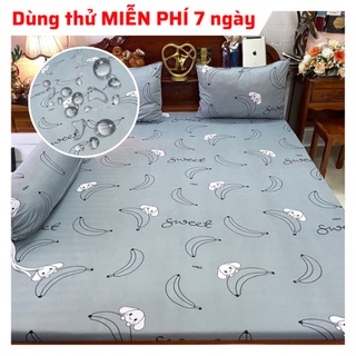 GA CHỐNG THẤM COTTON HÀN QUỐC