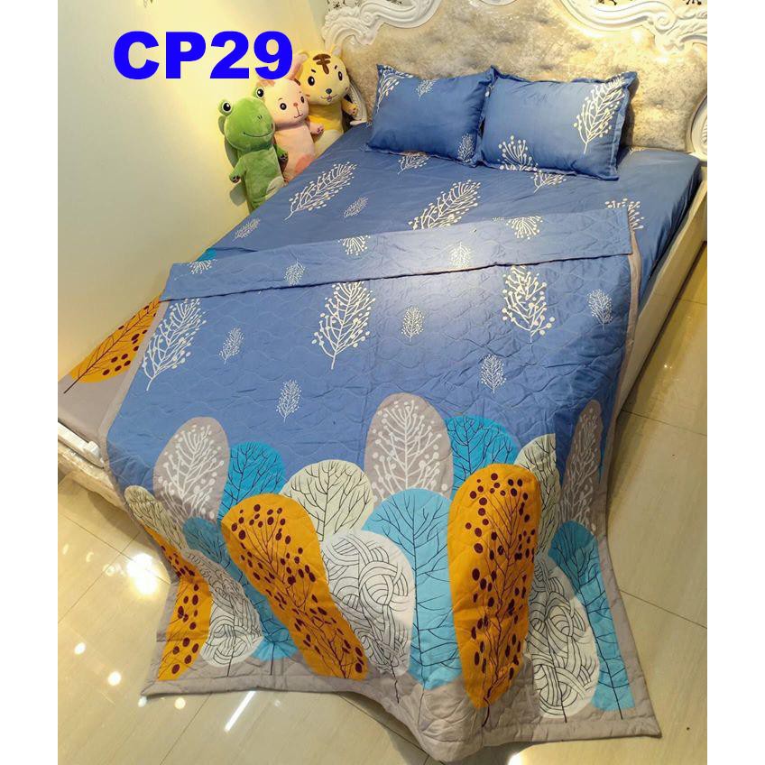 Bộ ga gối, vỏ gối ôm cotton poly CP25 tăng sự sang trọng cho phòng ngủ, hàng loại 1, đẹp sắc nét