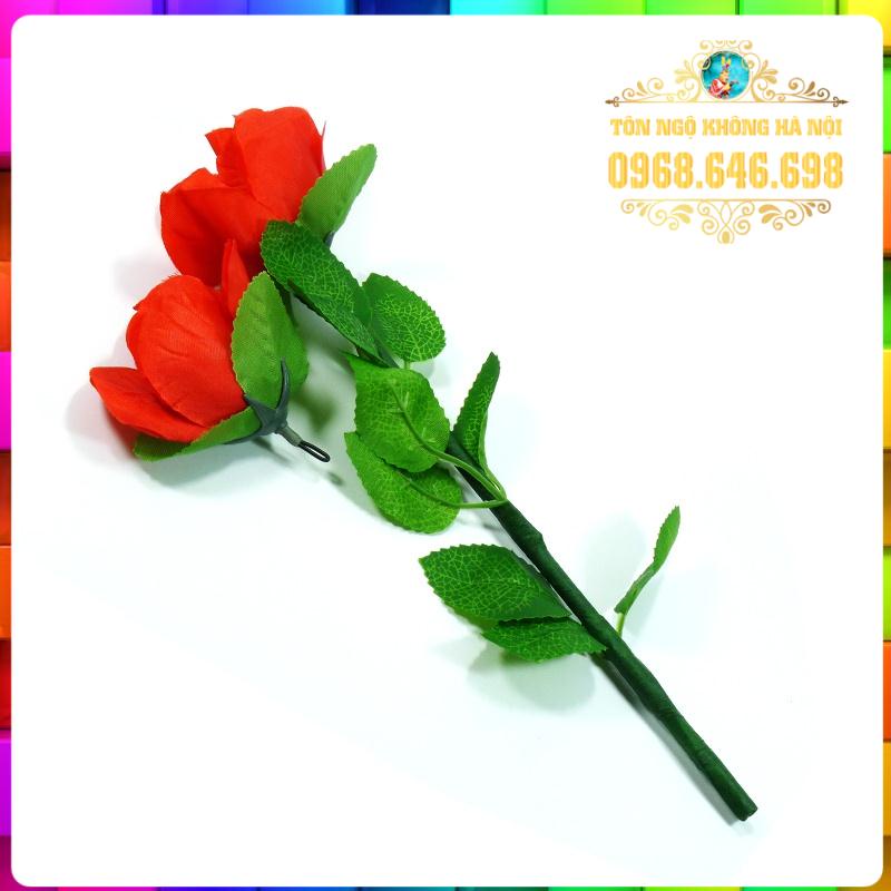 ẢO THUẬT HOA HỒNG HỒI SINH HÀNG CÓ SẴN