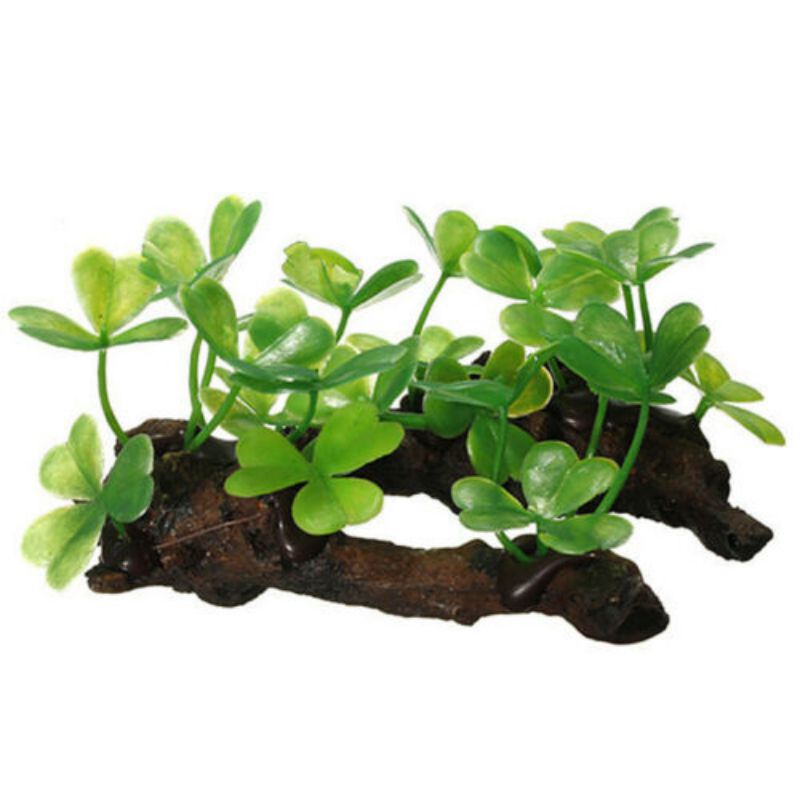 Cây Giả Bằng Gỗ Dùng Trang Trí Bể Nuôi Rùa Tiện Dụng