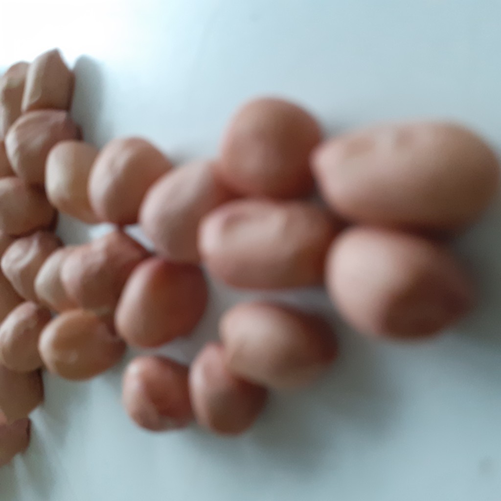 Đậu Phộng Sống bịch 1kg