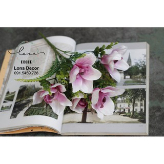 Hoa lụa - địa lan chùm