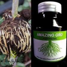 Rễ trắng ting Gel Kích Rễ Siêu Nhanh Amazing Gro Thailand - 60ml