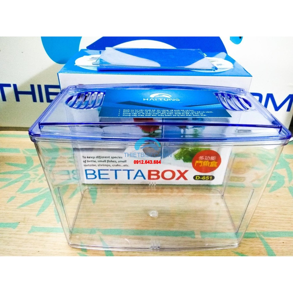 Bể nuôi cá chọi Betta box