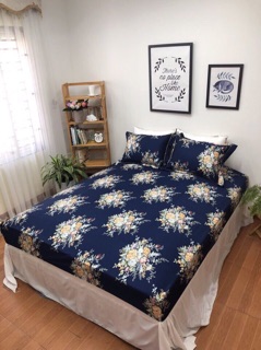 Set ga gối cotton