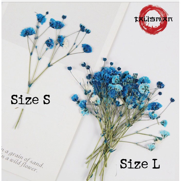 Nhánh hoa baby mini khô vĩnh cửu làm quà tặng, trang trí decor vintage, resin, trang trí