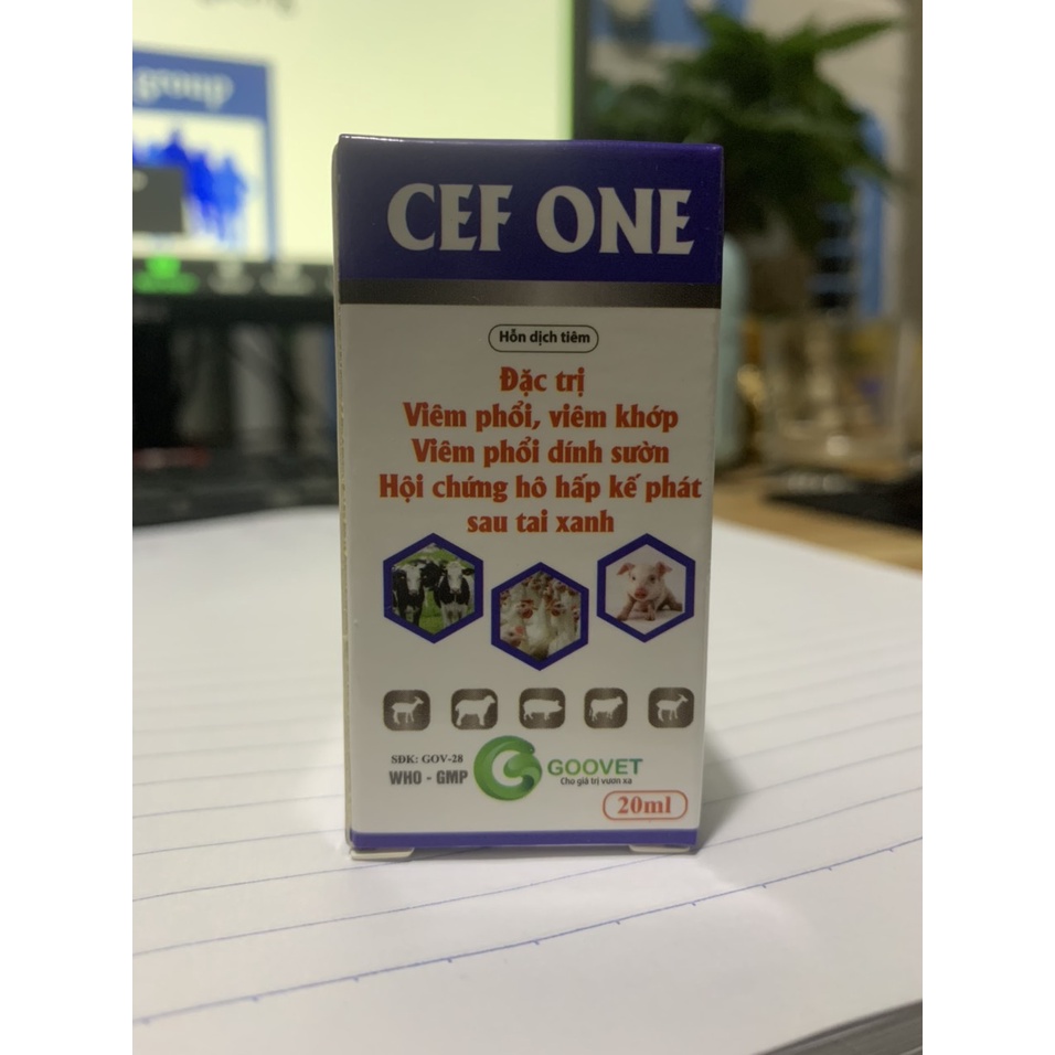 Viêm Phổi, Viêm Tử Cung CEF ONE Goovet Viêm Khớp, Viêm Phổi Dính Sườn, Hội Chứng Hô Hấp Kế Phát Sau Tai Xanh. Ceftiofur