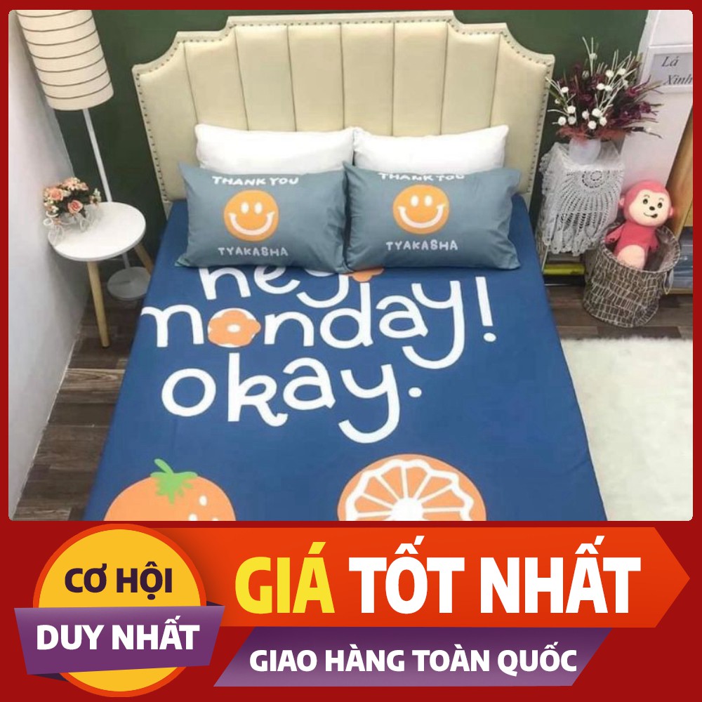 Bộ ga gối cotton 100% mềm mịn, thoáng mát, không xù, không phai