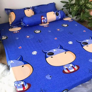 Bộ ga gối poly cotton m6/m8 ( được chọn mẫu)