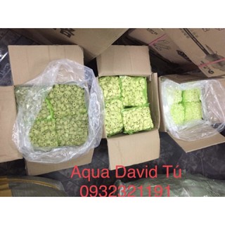 (Siêu Rẻ) <Vật liệu lọc cao cấp> Sứ Mountain tree Nitro Ring