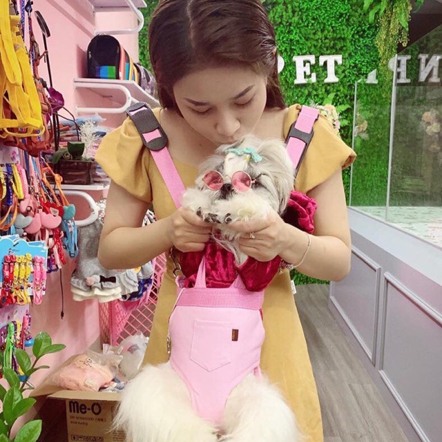 Địu da chó chó
