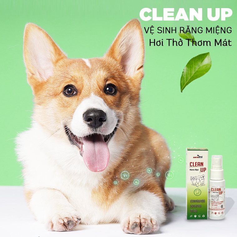 Xịt thơm miệng chó mèo Clean Up giúp vệ sinh riêng miệng thú cưng ngừa sâu răng khử mùi hôi miêng chó mèo 30ml AMITAVET