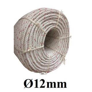 Dây thừng Thái PP chịu lực cao [ Ø 12 mm ]