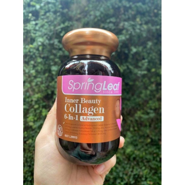 Viên uống Collagen spring leaf inner beauty 6in1