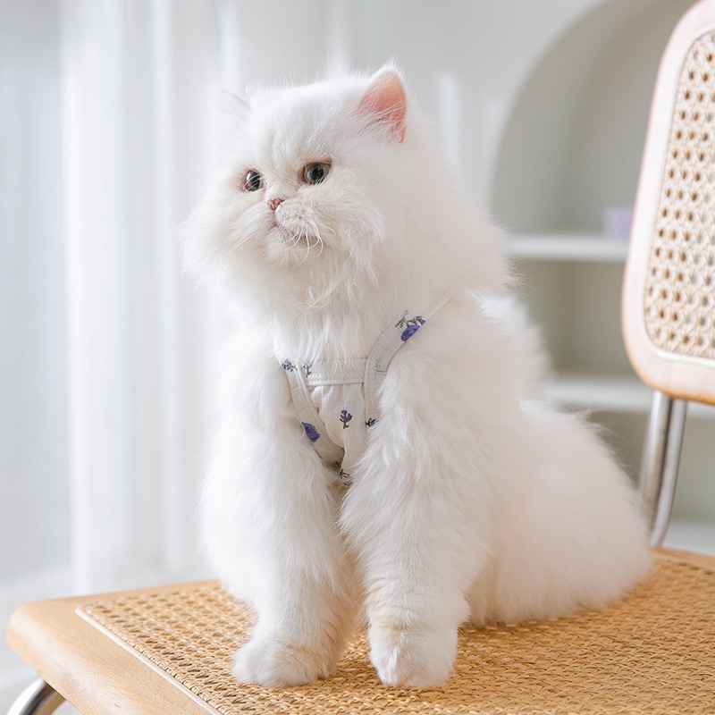 &lt;cutepethome&gt;Áo Hai Dây Họa Tiết Hoa Thời Trang Mùa Hè Cho Thú Cưng