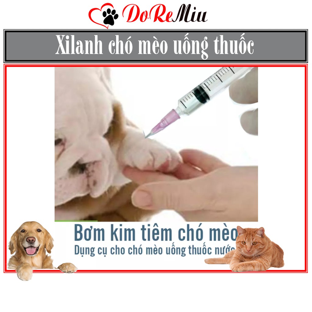 Doremiu- Xilanh cho chó mèo - dụng cụ thú y uống sữa uống thuốc tiêm thuốc