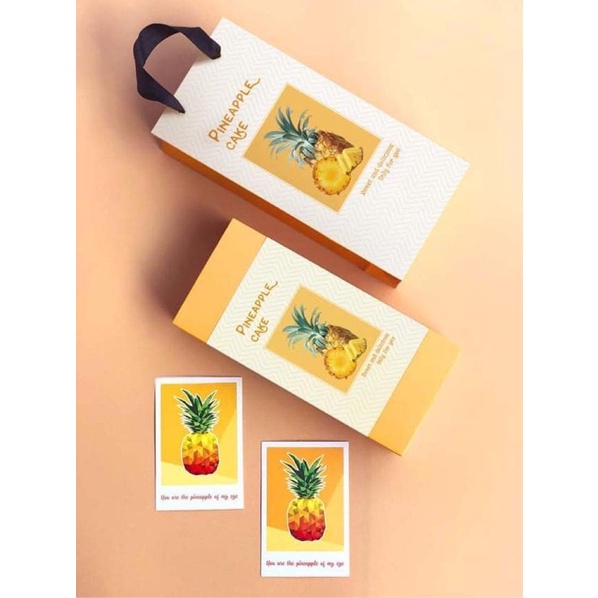 10 bộ túi vỏ hộp đựng bánh kt 21x8,5cm