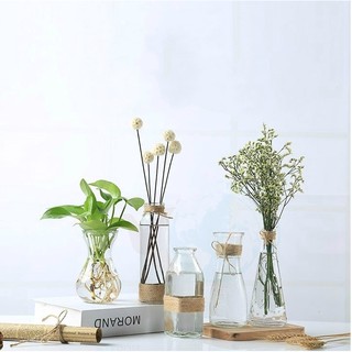Lọ thủy tinh trang trí dây thừng cực đẹp, Bình thuỷ tinh cắm hoa phong cách Bắc Âu vintage