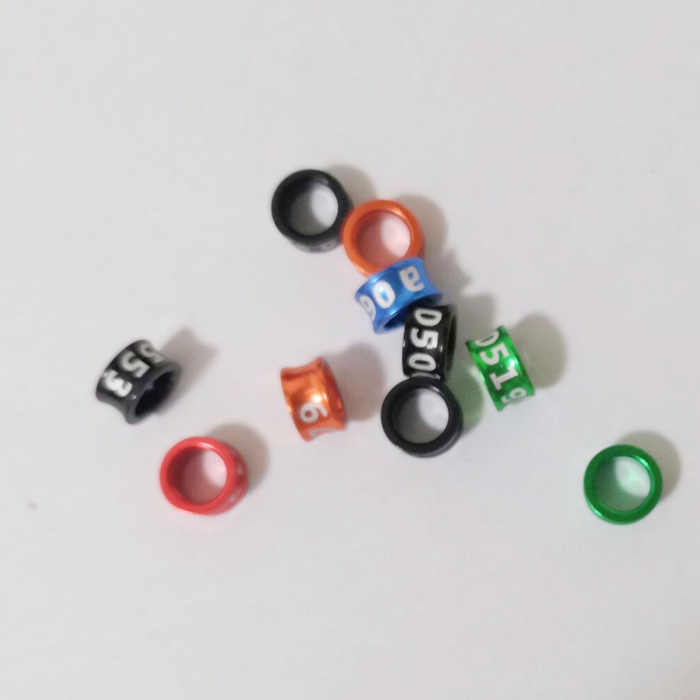 Set 20 Vòng Đeo Chân Luyện Tập Nhận Dạng Chim Kích Thước 3.3mm Đến 8mm